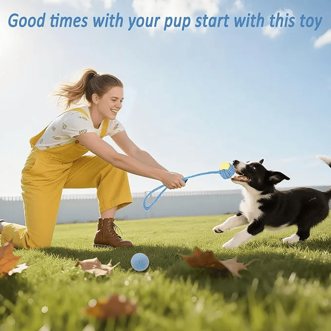 20 Pack Dog Chew Toys
