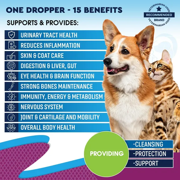 Liquid Vitamins for Dogs 60 ml