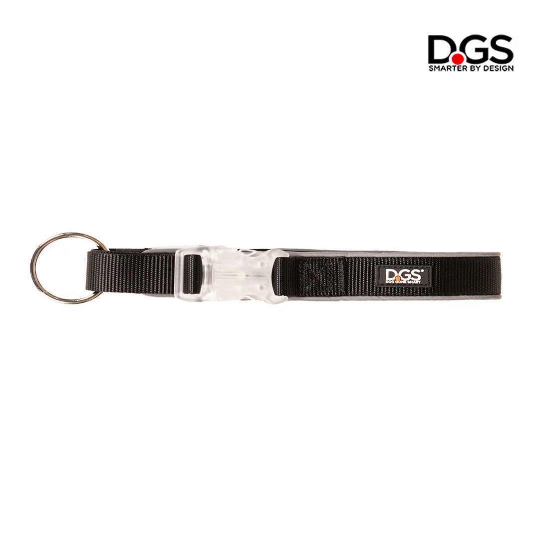 Comet Rechargeable Light-Up Flat Dog Collars