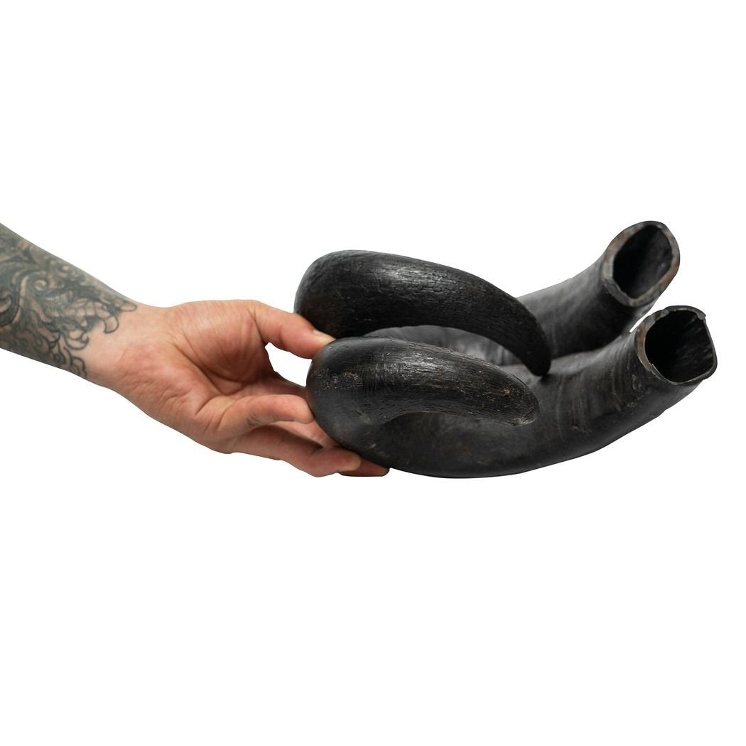 2x Deer Horn For Dogs Dental Treats & Chews -15 oz