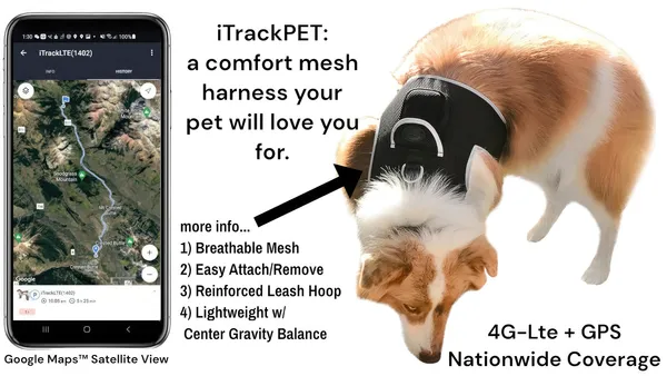 Dog GPS Trackers