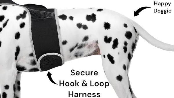 Dog GPS Trackers