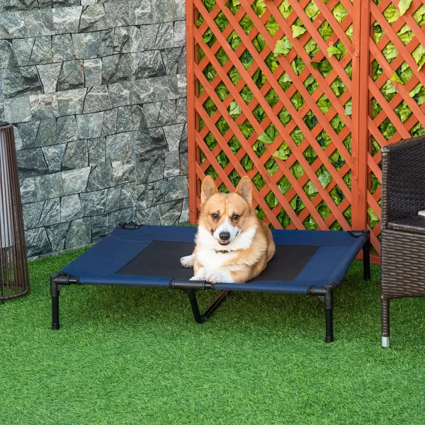 Cooling Raised Dog Cot