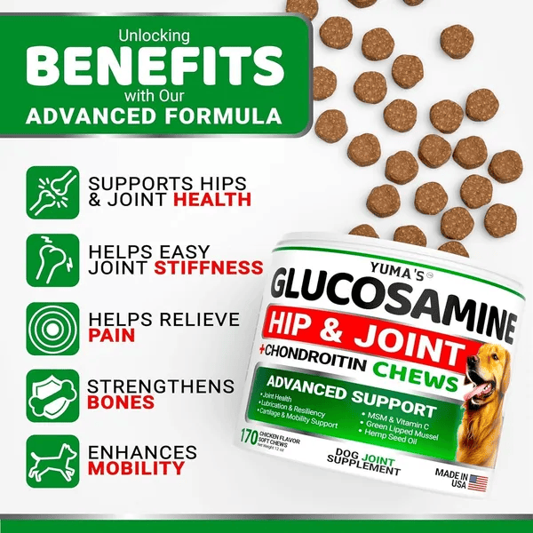 2 Pack Joint Pain Relief Mobility Aids for Dogs