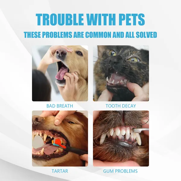 Dog Dental Care Toothpaste