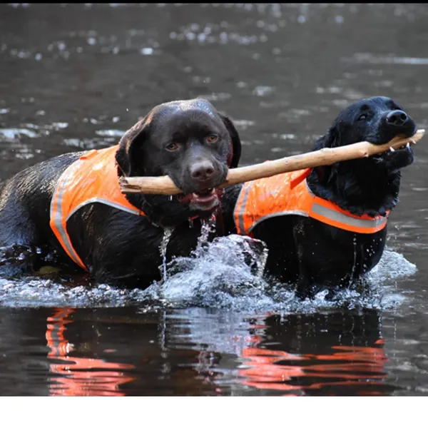Dog Life Jackets