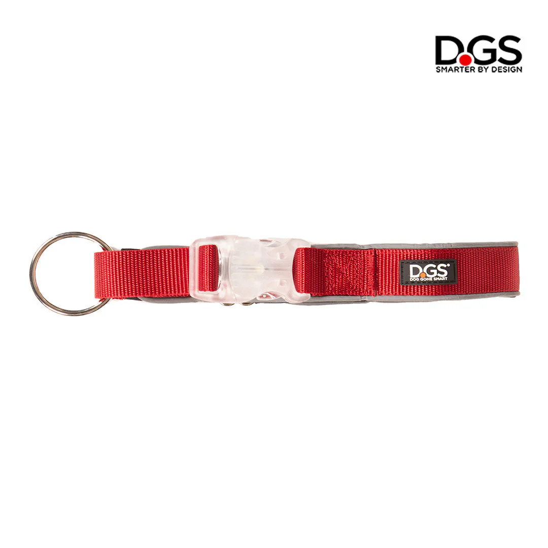 Comet Rechargeable Light-Up Flat Dog Collars