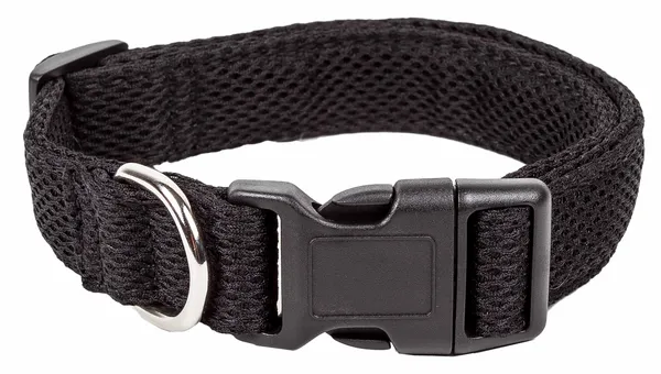 Adjustable Breathable Mesh Flat Dog Collars