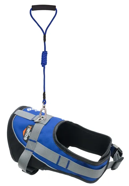 Adjustable 2-in-1 Leash and Harness Dog Walking Set