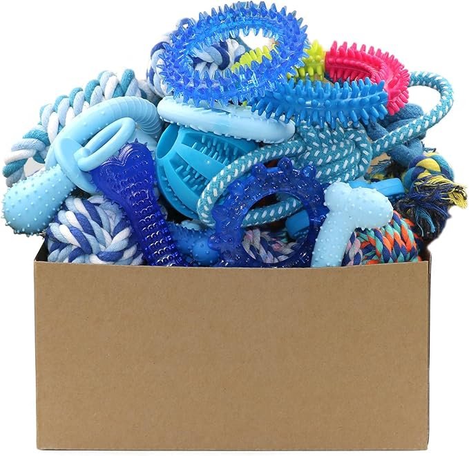 20 Pack Dog Chew Toys