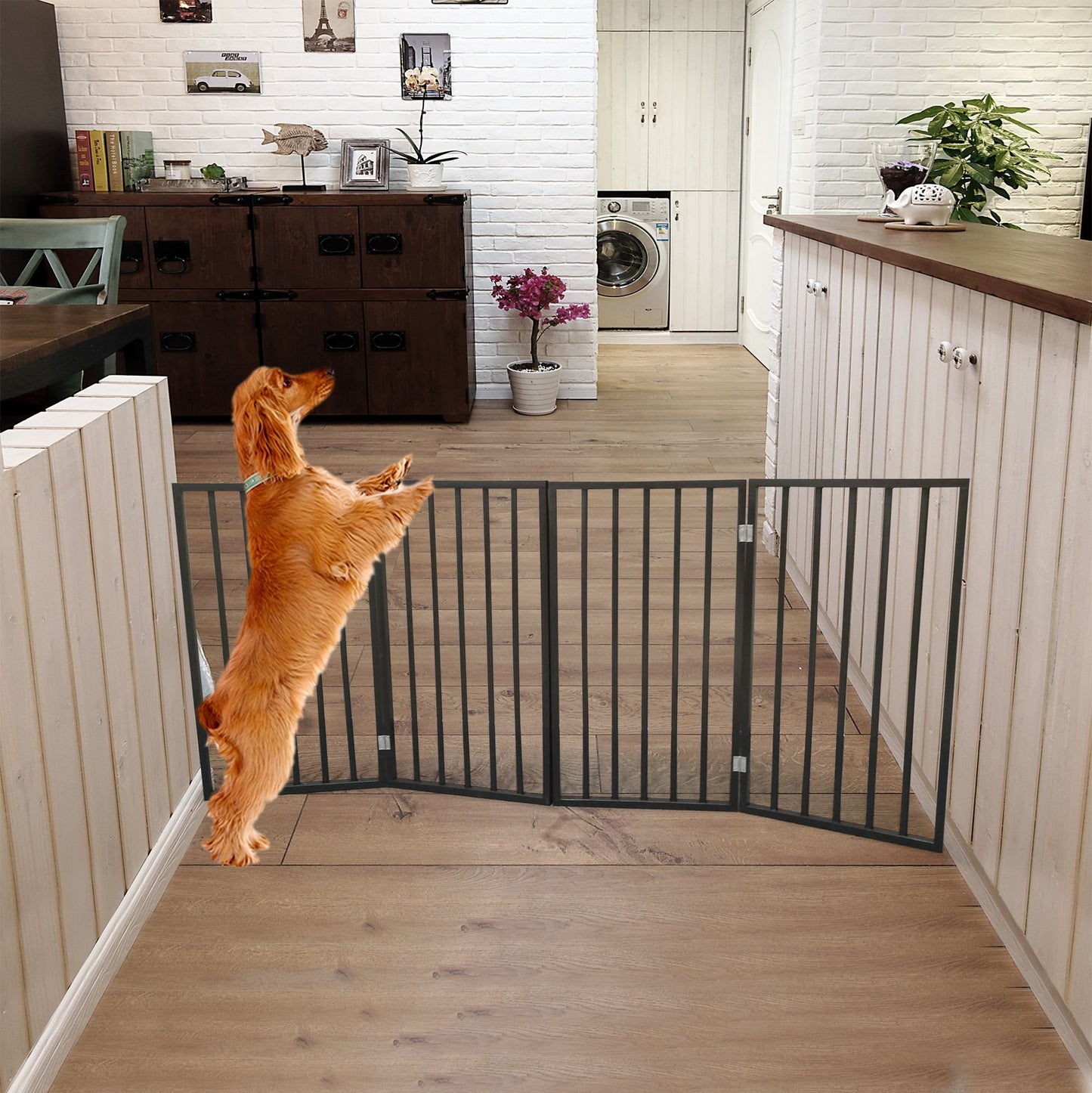 72" x 24"  Freestanding Dog Gates - Brown