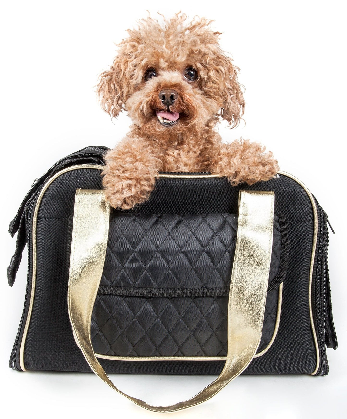 Airline Approved Mystique Dog Carrier Purse