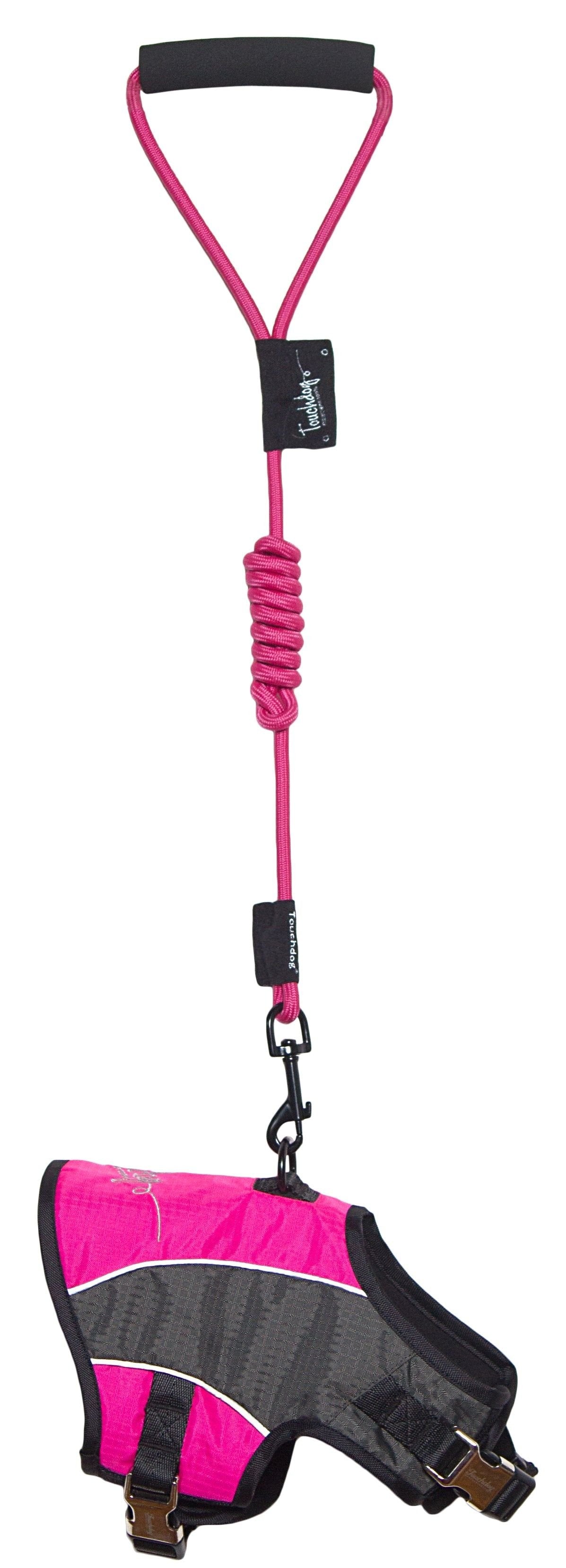 2-in-1 Adjustable Dog Harness and Leash