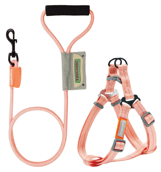 Durable Nylon Dog Walking Set
