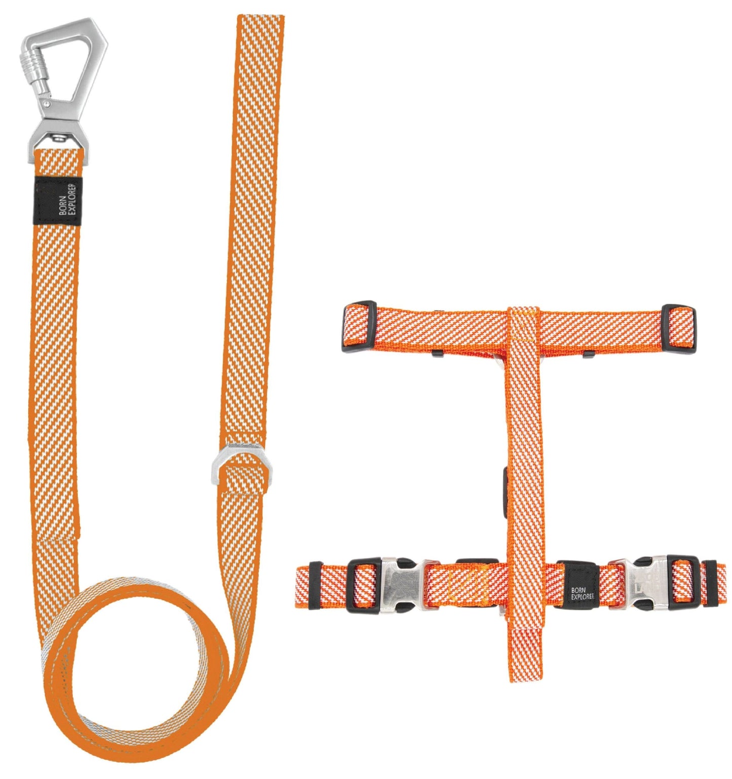 2-in-1 Convertible Dog Walking Set