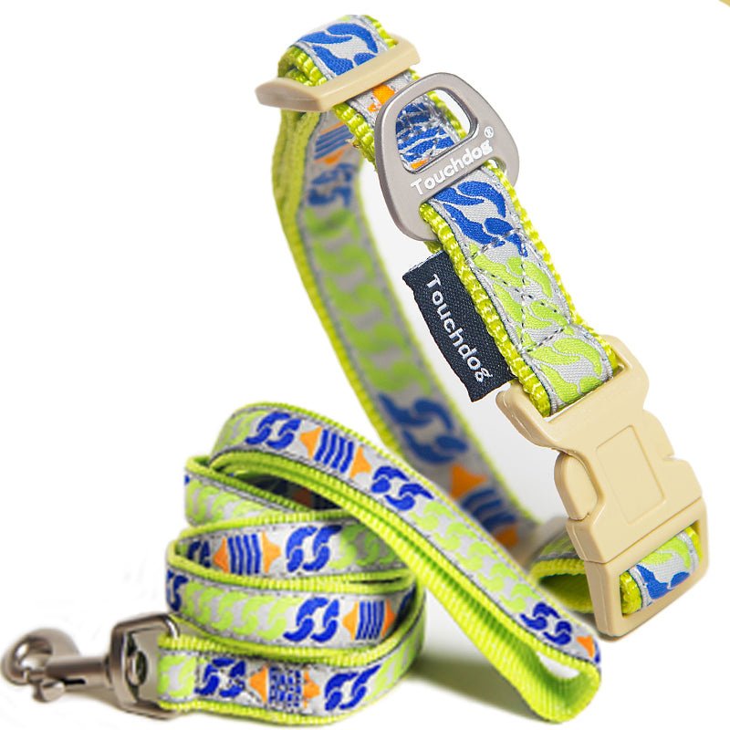 Chain Printed Walking Dog Set