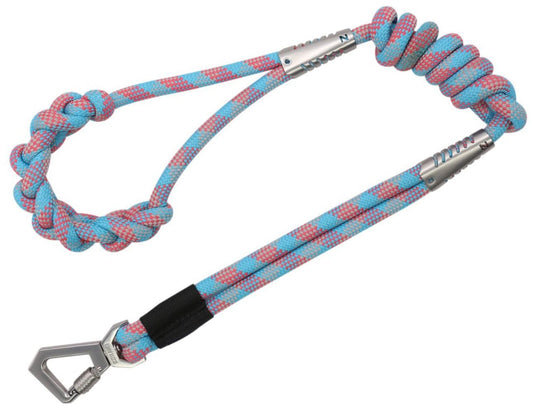 Braided Dog Leashes One-Piece Training Dog Leash