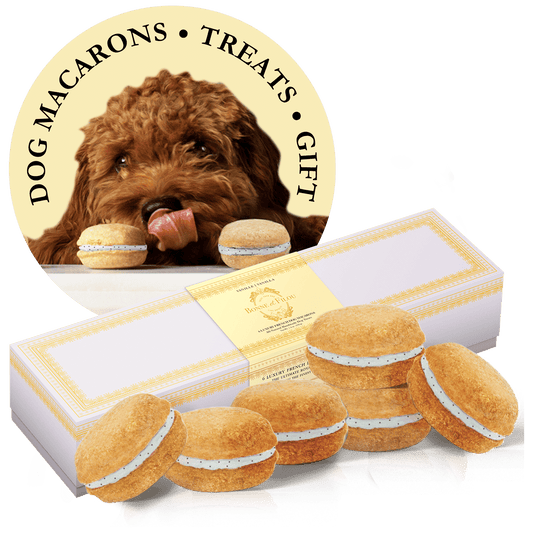 Dog Macarons