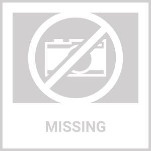 Pooches Pocket Poncho