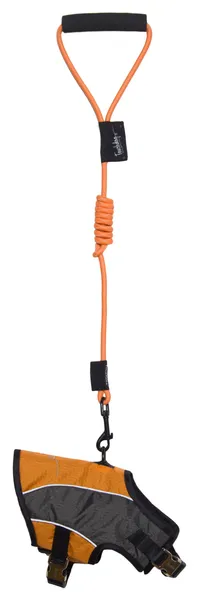 2-in-1 Adjustable Dog Harness and Leash