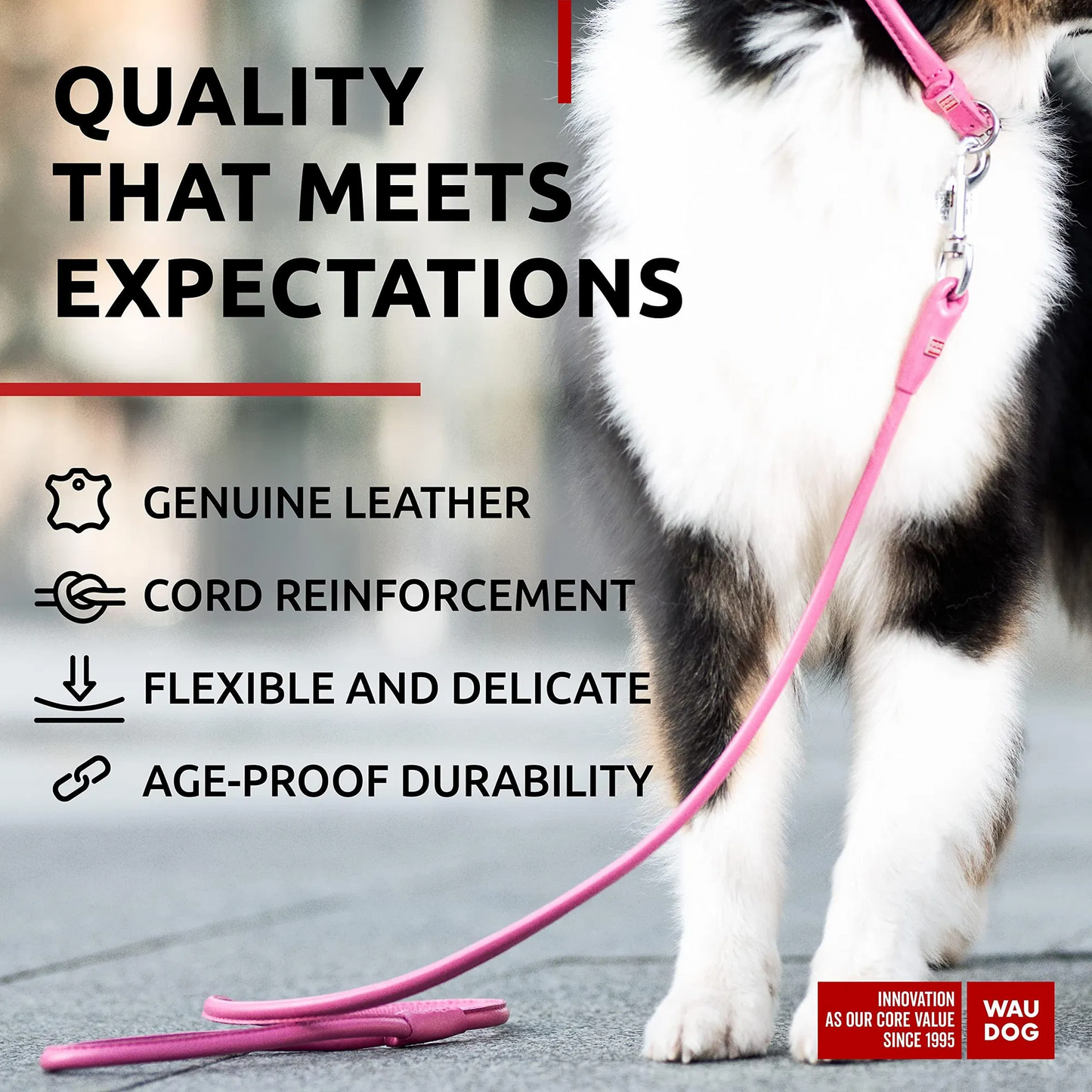 4ft Leather Rolled Dog Leash