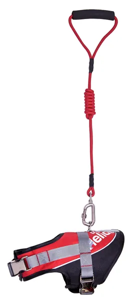 Adjustable 2-in-1 Leash and Harness Dog Walking Set