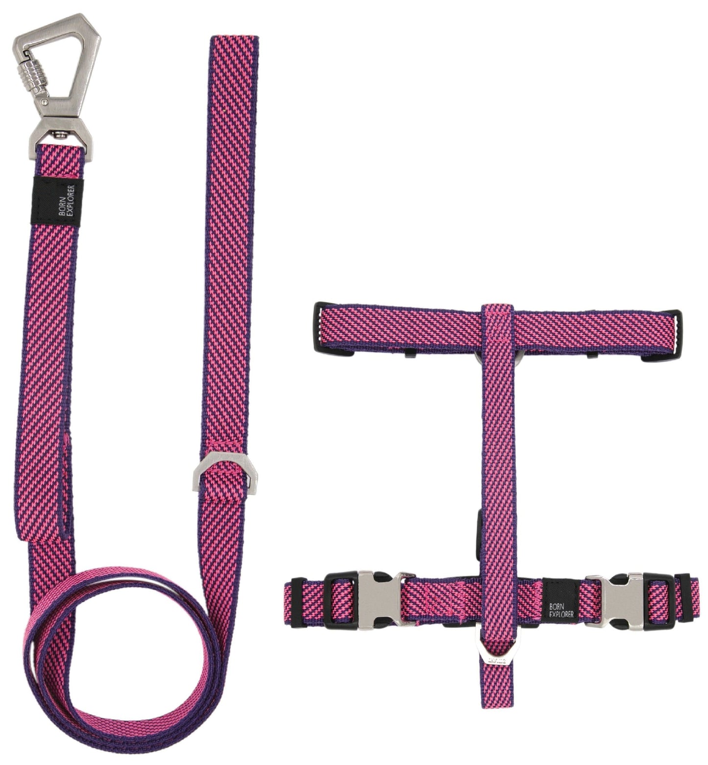 2-in-1 Convertible Dog Walking Set