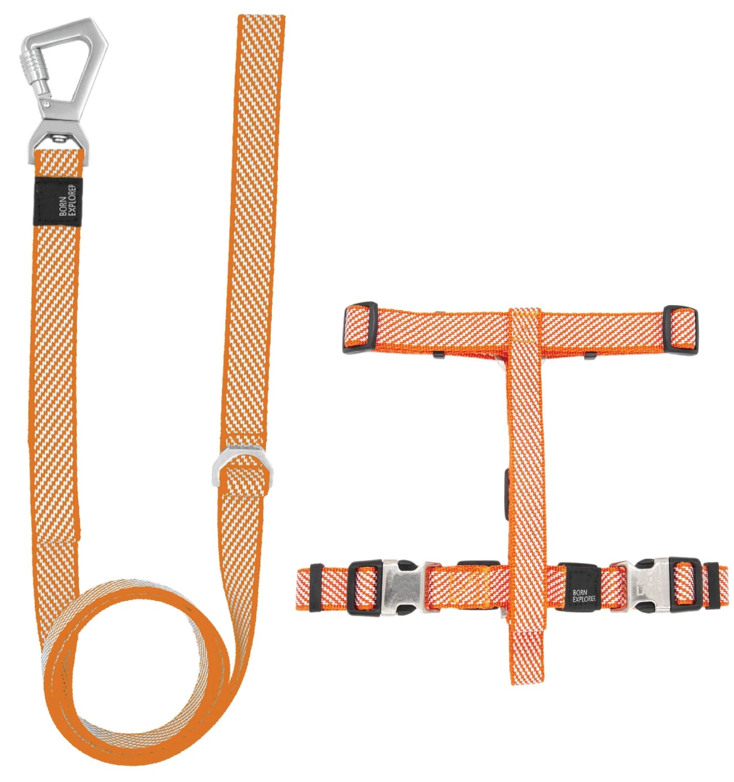 2-in-1 Convertible Dog Walking Set