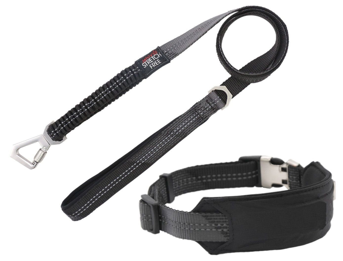 2-in-1 Reflective Dog Walking Set